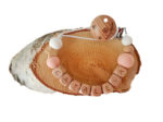 Speenkoord gepersonaliseerd - Perzik